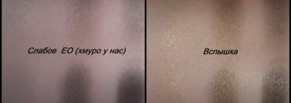 Палетка Dior Golden Jungle #001 Golden Khakis