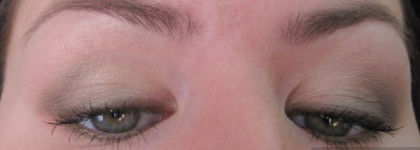 Палетка Dior Golden Jungle #001 Golden Khakis