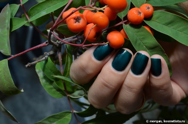 Chanel Le Vernis Nail Colour #679 Vert Obscur