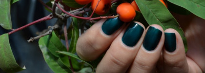 Chanel Le Vernis Nail Colour #679 Vert Obscur