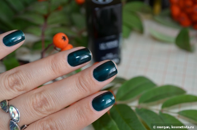 Chanel Le Vernis Nail Colour #679 Vert Obscur