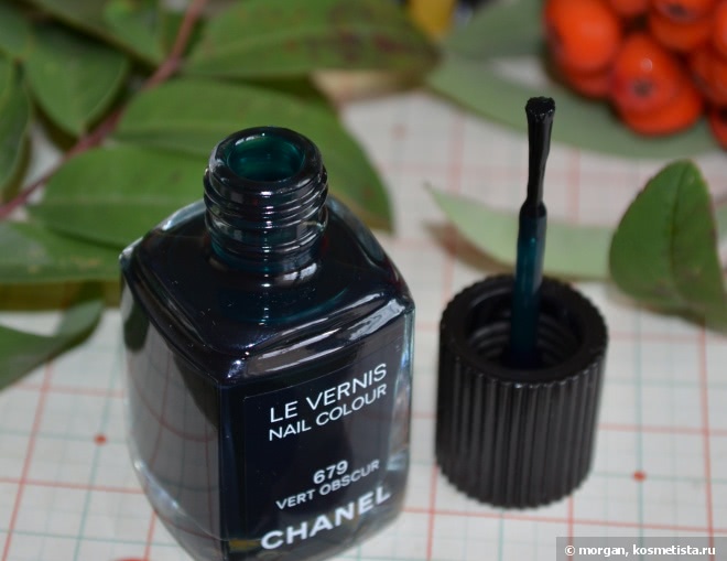 Chanel Le Vernis Nail Colour #679 Vert Obscur