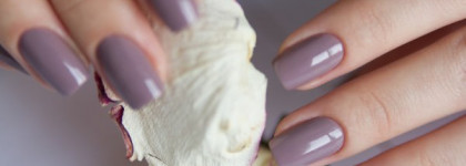 El Corazon №887, коллекция Charm and Beauty