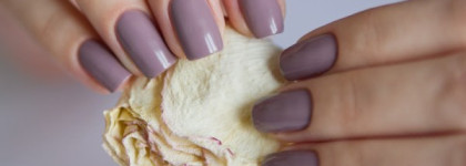 El Corazon №887, коллекция Charm and Beauty