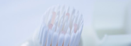 Shiseido The Skincare Cleansing Massage Brush