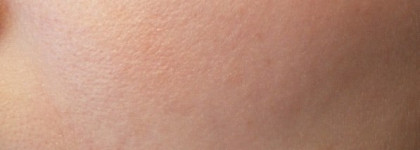 Румяна Shiseido Luminizing Satin Face Color RD103