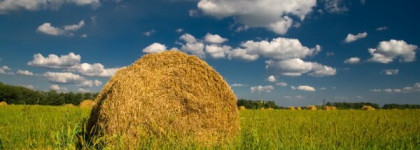 Huitieme Art - Vohina