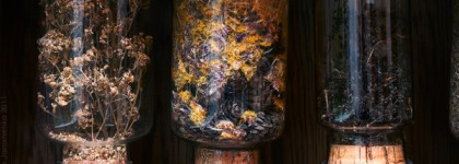 Parfumerie Generale Aomassai № 10