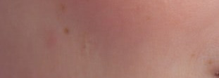 Палетка Sisley L'orchidee Highlighter Blush whith white lily