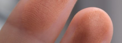 Пудра компактная для лица и тела Nuxe Poudre Eclat Prodigieux