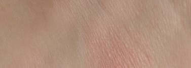 О румянах Sisley Sisley Phyto-Blush Eclat №5