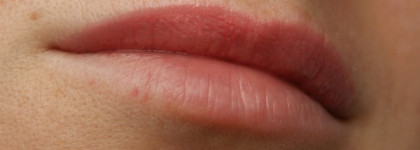 Tom Ford Lip Color Shine - 08 Frolic