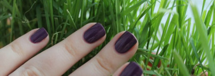 Из США с любовью ( часть 1: Dutch ’Ya Just Love Opi?)