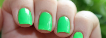 Приехал подарок! Dance Legend 333, 341 и Domino White