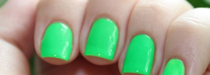 Приехал подарок! Dance Legend 333, 341 и Domino White