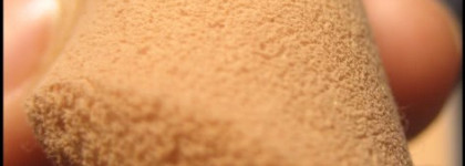 Shiseido Sheer Matifying Compact SPF 10, B20