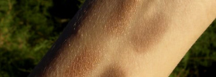 Любимые тени Dior 2 Couleurs Duo Eye Shadow 695 Bronzy look