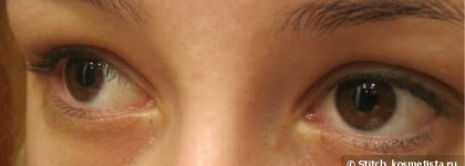 Борьба двух хозяек моей косметички: тушей Chanel и MAC