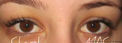 Борьба двух хозяек моей косметички: тушей Chanel и MAC