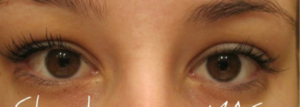 Борьба двух хозяек моей косметички: тушей Chanel и MAC