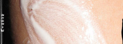 А не спеть ли мне песню о любви? О любви к Chanel конечно же