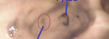 Гидрофильное разочарование от SkinFood Grape Seed Oil Cleansing Gel