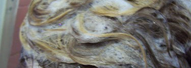 Необычный рост волос с шампунем для волос ООО"Первое Решение" B-Rich Professional Сияние и блеск