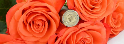 Givenchy Le Rouge Intense Color Sensuously Mat Lip Color 303 Corail Decolette