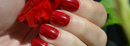 Фетиш лакоманьяка - красное желе: Anny 074 A World Of Beauty