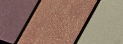 Shiseido Luminizing Satin Eye Color Trio RD 299 Beach Grass