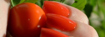 YSL La Laque Couture #3 Orange Afrique