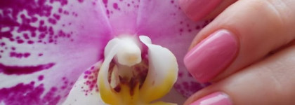 Розовая нежность или лак для ногтей El Corazon Impression №247