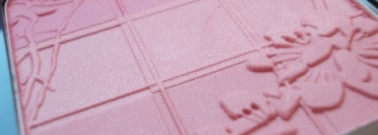 Азиатская фантазия в ягодных тонах или румяна Artdeco Blush Couture Talbot & Runhof Collection "Oriental Western" осень-зима 2013