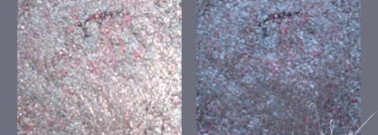 Armani Eyes to kill Intense Eyeshadow #4 Pulp Fiction