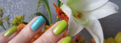 Весенний лайм