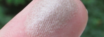 Guerlain Ombre Eclat 1 Shade #180 L'instant Fume