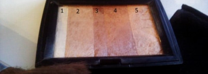 Иллюминация для кожи - DiorSkin Poudre Shimmer #002