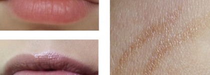 Fall 2012 - Chanel Rouge Coco Shine # 73, Chic