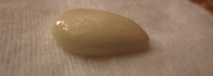 Повесть о том, как мне захотелось сверкать. Набор Skin so soft "Золотая история" от Avon