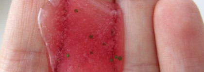 Вкусности для тела