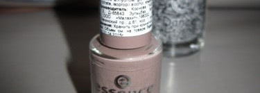Коричневый с ноткой серого Essence Colour&Go 71 trendsetter