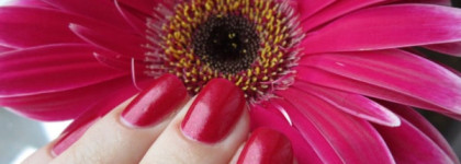 Golden Rose Rich Color №45