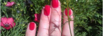 Яркая малинка на ногтях с лаком Golden Rose #124