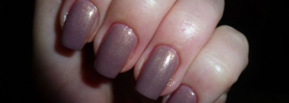 Когда хочется нежности или Golden Rose #146