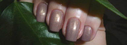 Когда хочется нежности или Golden Rose #146