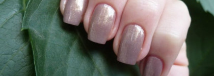 Когда хочется нежности или Golden Rose #146