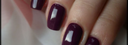 Осенний Golden Rose Rich Color #31