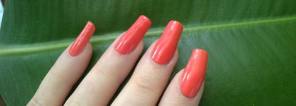 Essence 03 on your gracile tiptoe (продолжение)