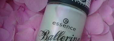 Essence  Dance The Swan Lake