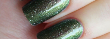 EL Corazon Active Bio-gel Color gel polish —  коллекция "Universe"